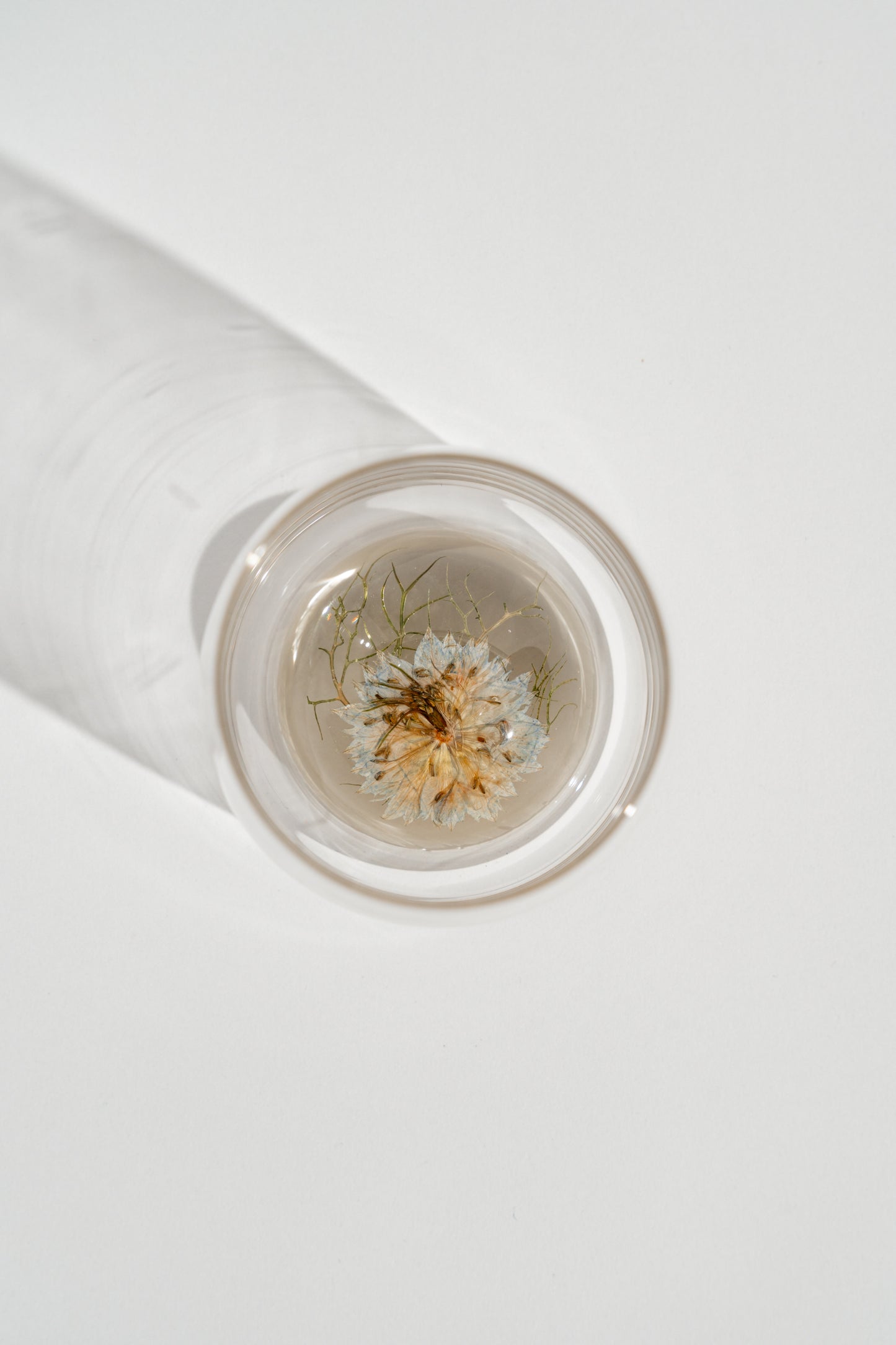 Love in a Mist Resin Cup