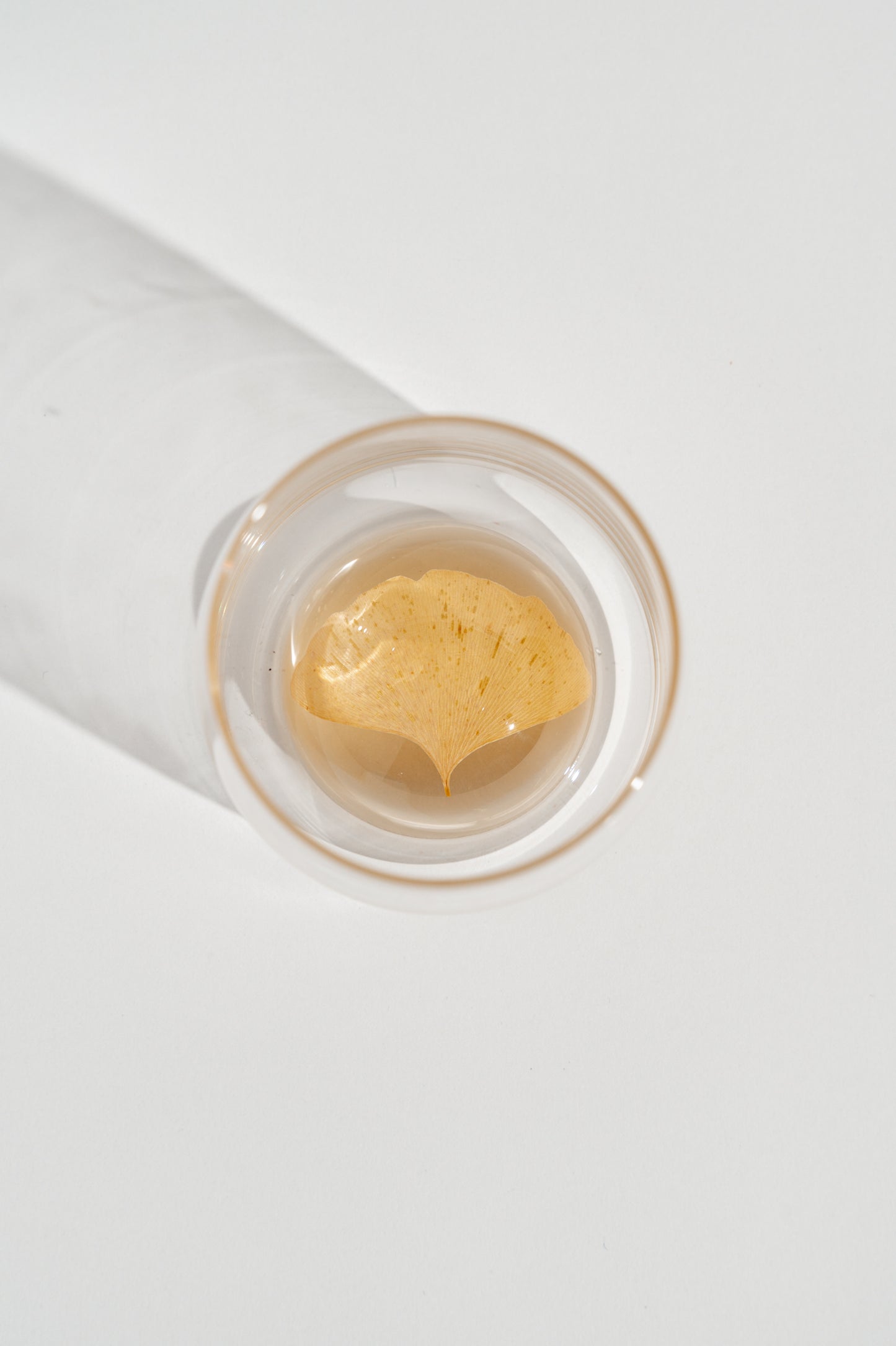 Ginkgo Leaf Resin Cup