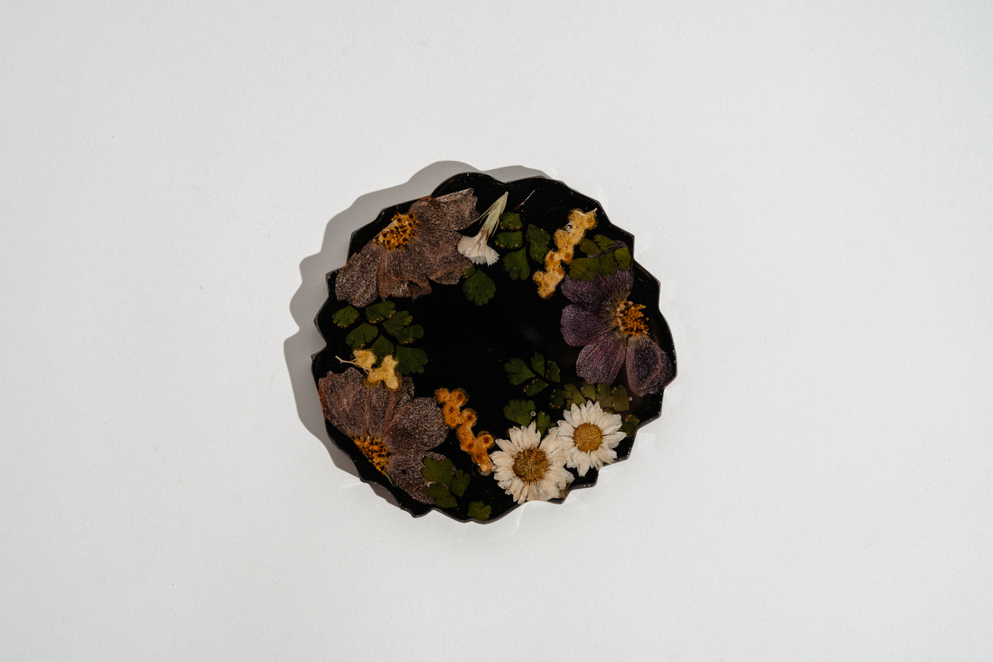 Secret Garden Coaster