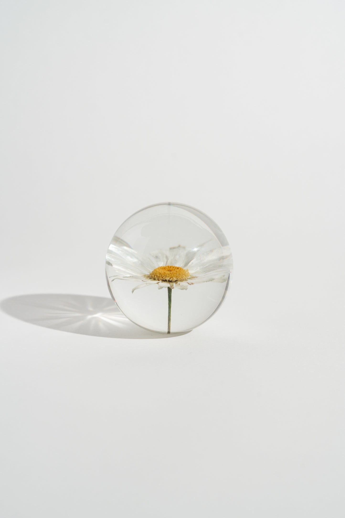 Daisy Resin Orb