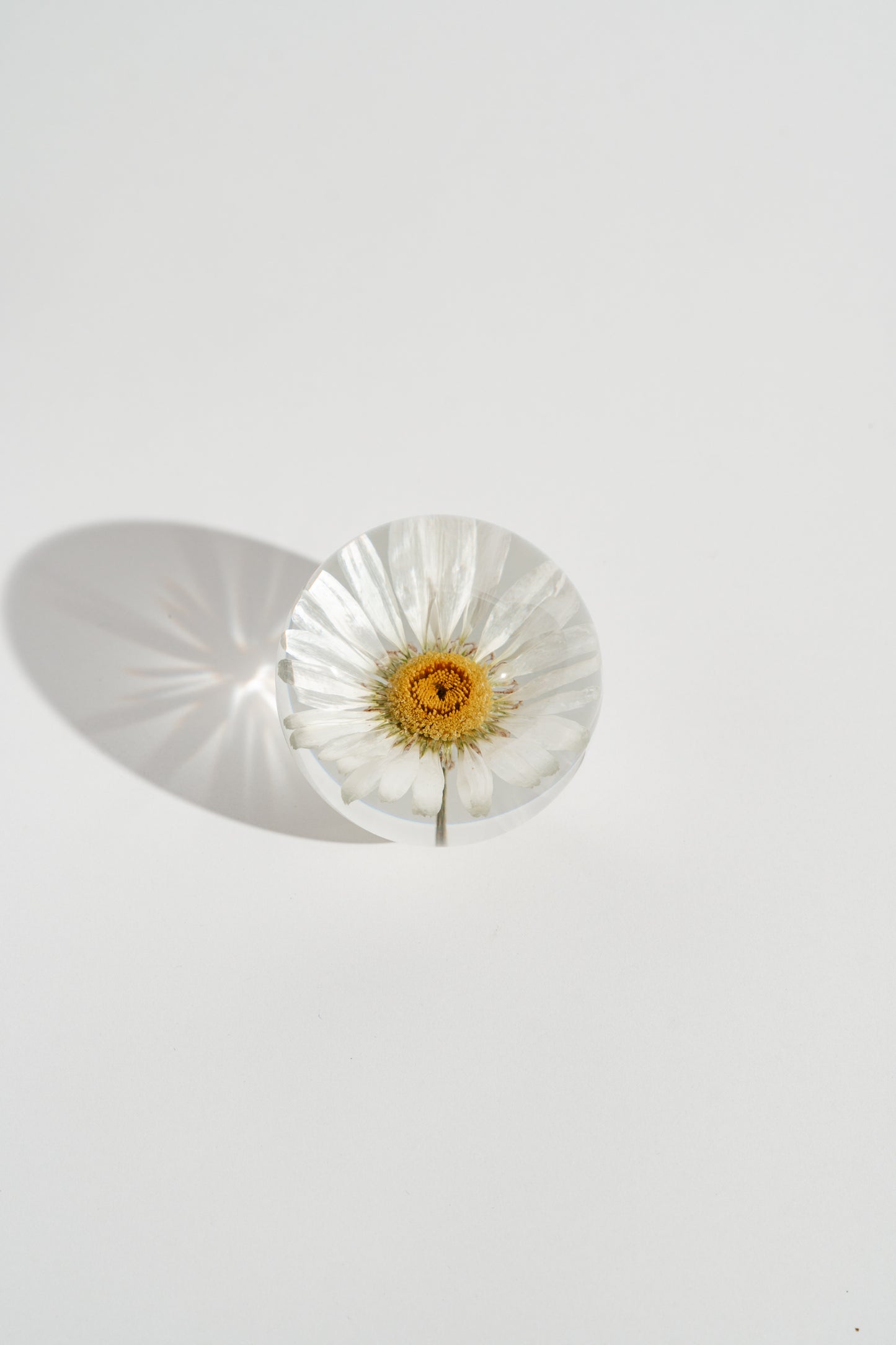 Daisy Resin Orb
