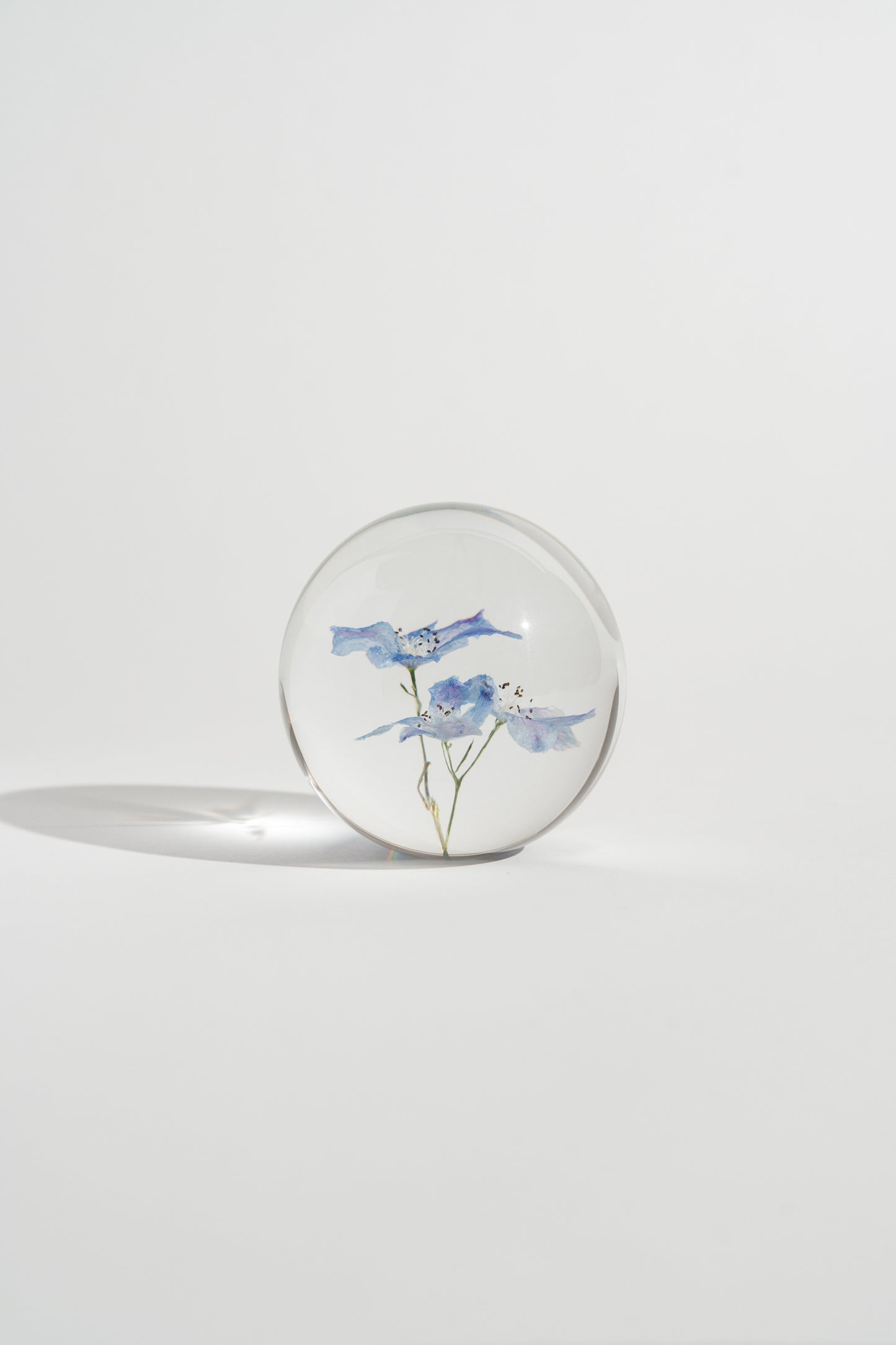 Delphinium Resin Orb