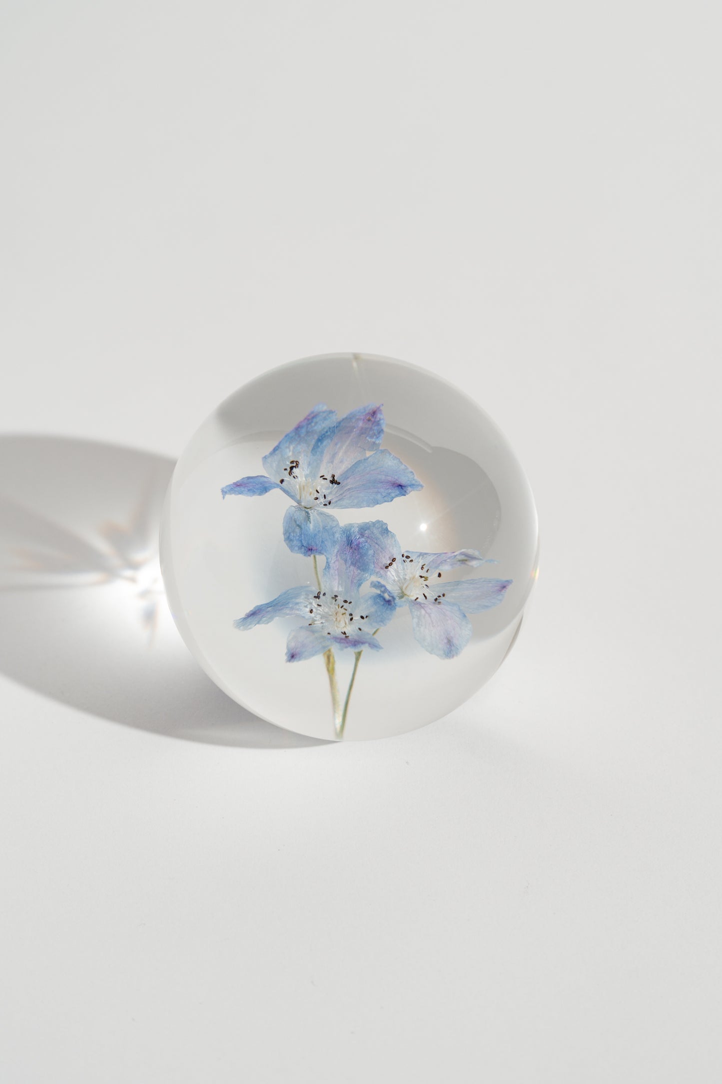 Delphinium Resin Orb