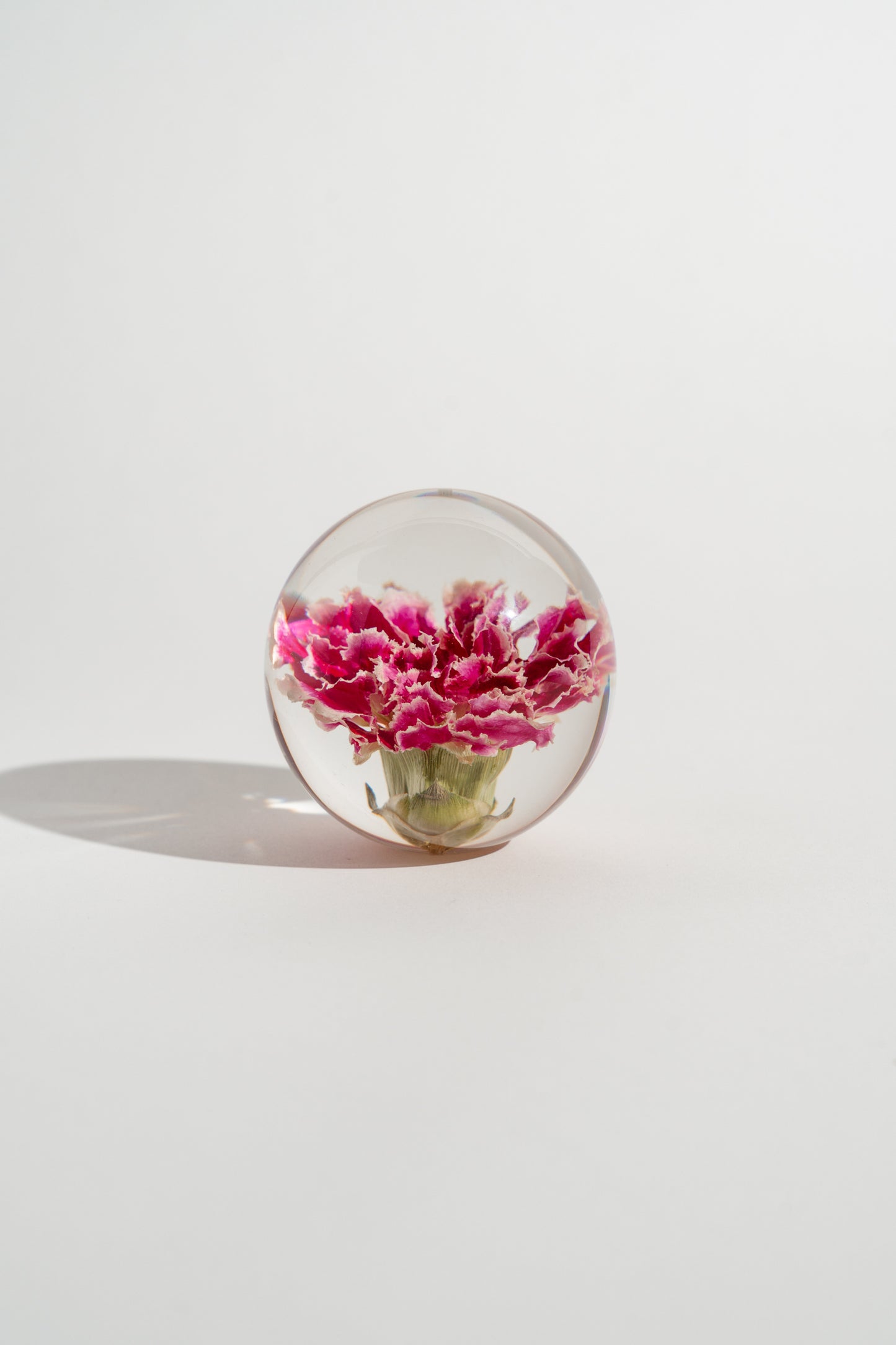 Carnation Resin Orb