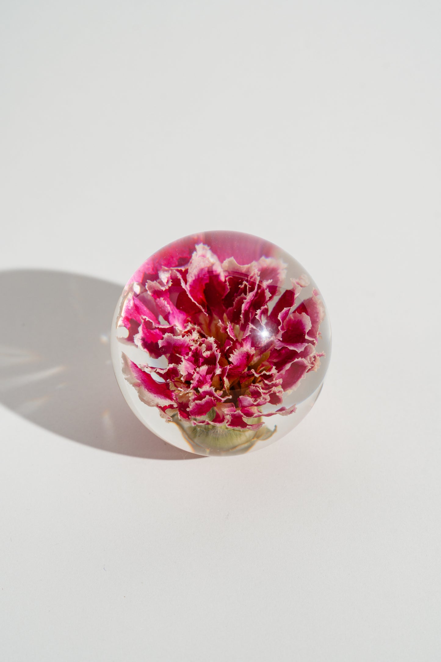 Carnation Resin Orb