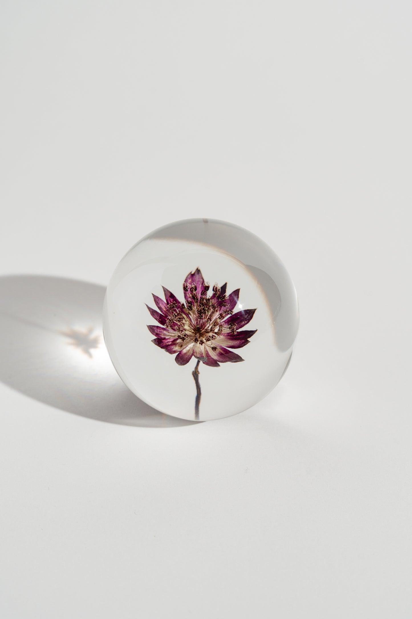 Star Flower in a Mist Resin Orb