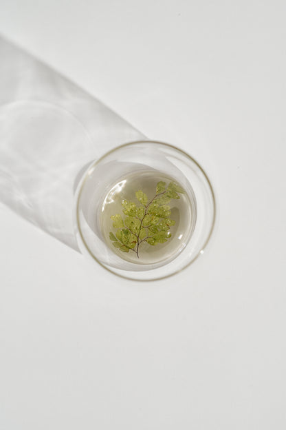 Maiden Hair Fern Resin Cup