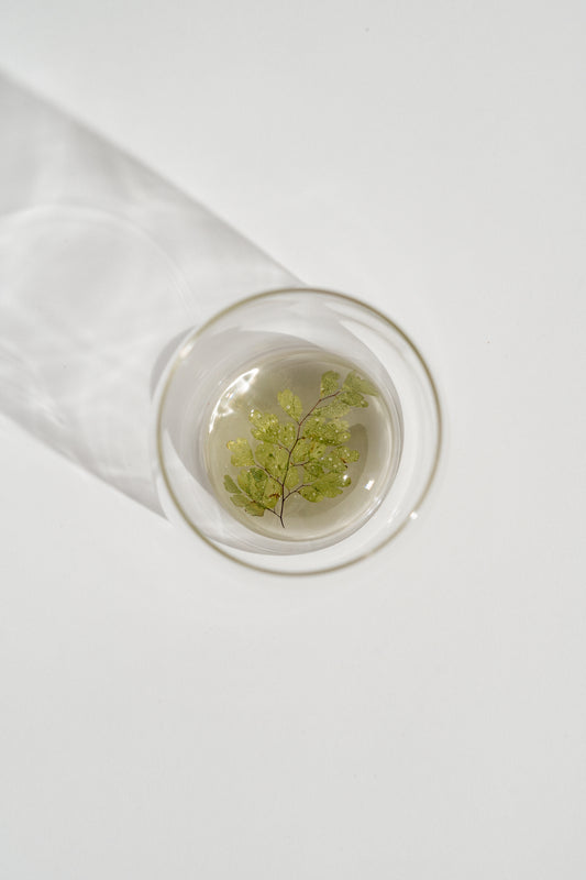 Maiden Hair Fern Resin Cup