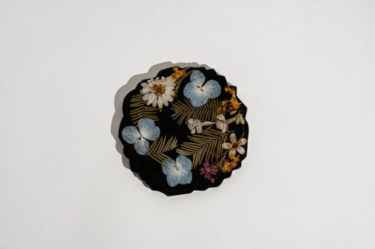 Evergreen Eden Coaster