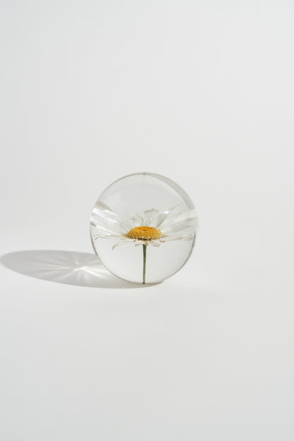 Daisy Resin Orb