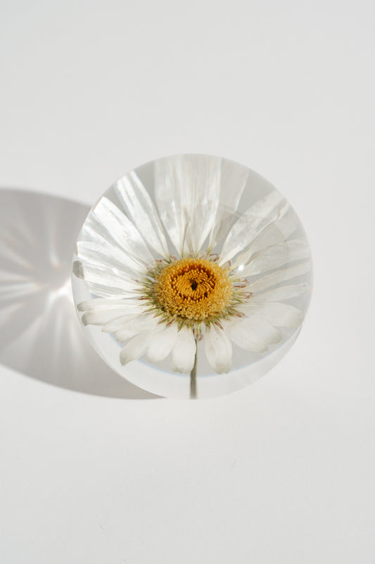 Daisy Resin Orb