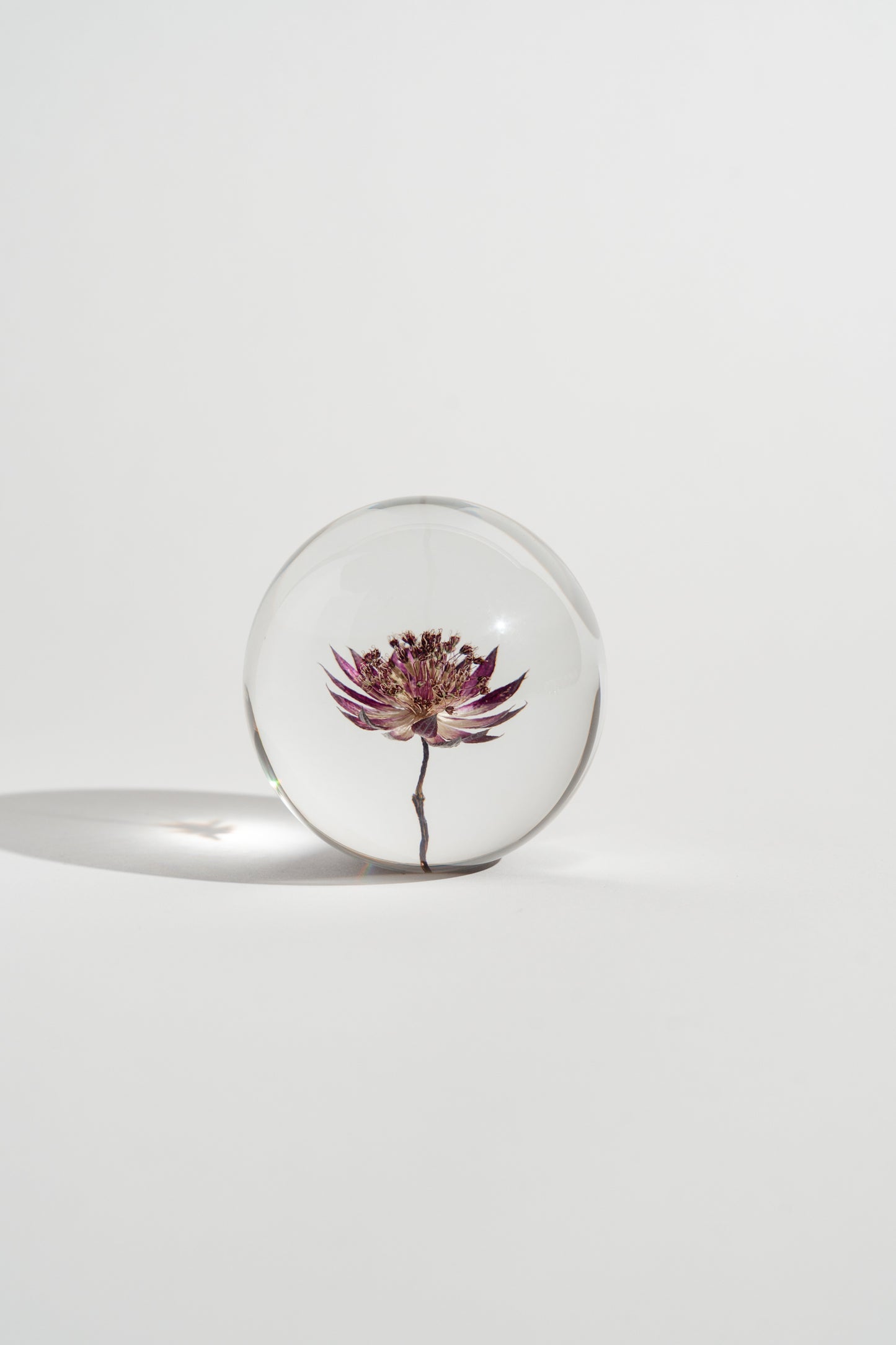 Star Flower in a Mist Resin Orb