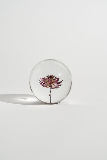 Star Flower in a Mist Resin Orb