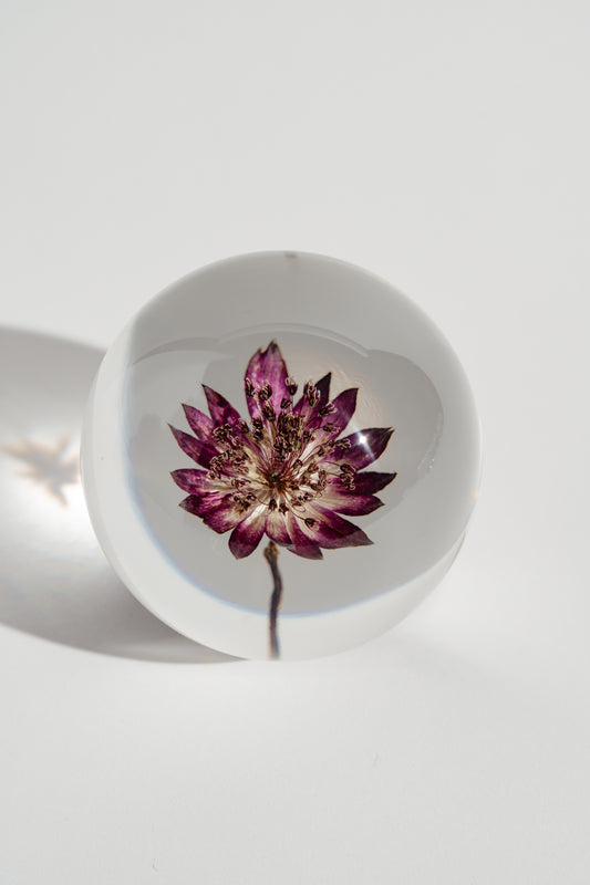 Star Flower in a Mist Resin Orb