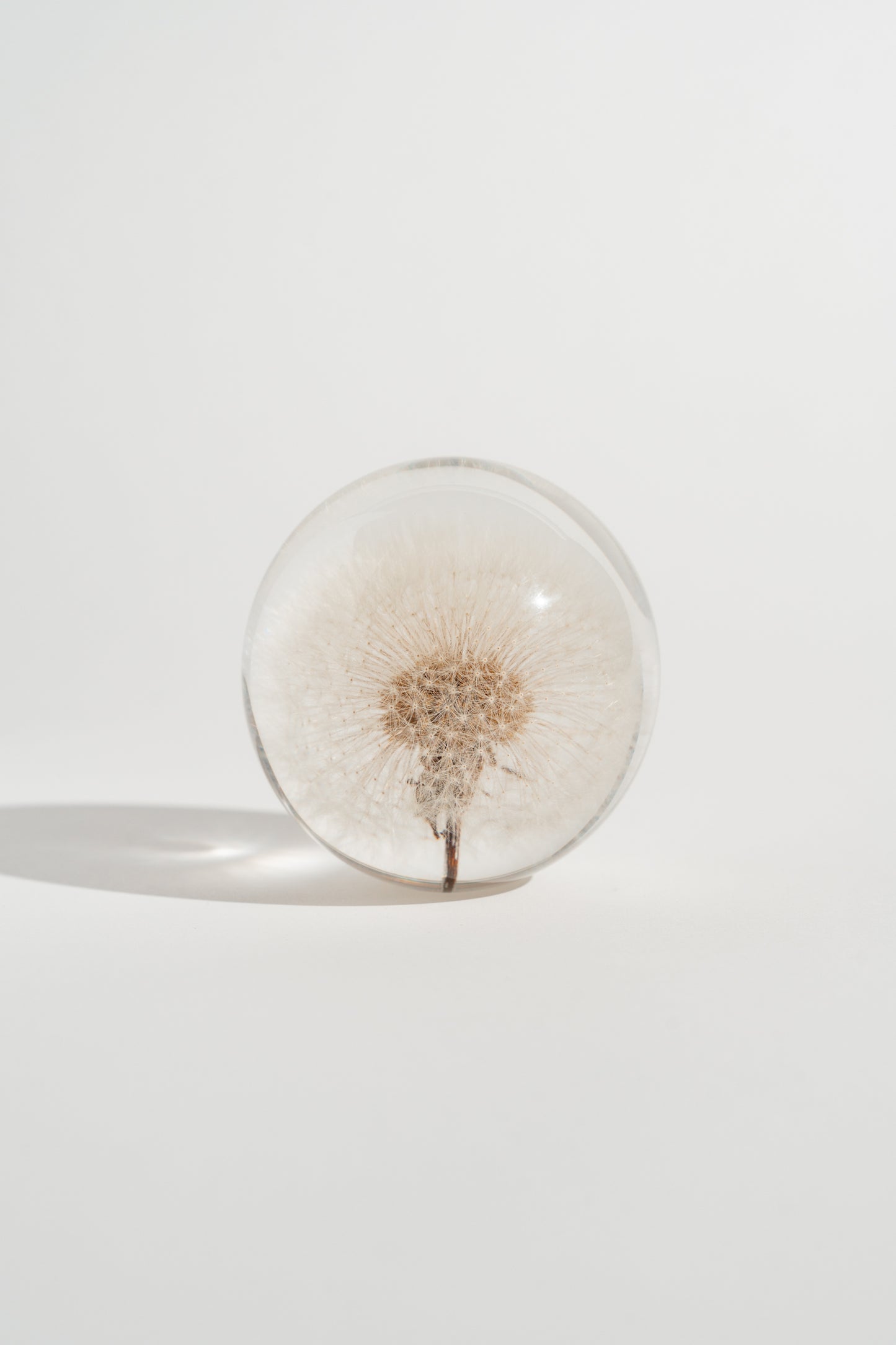 Dandelion Resin Orb