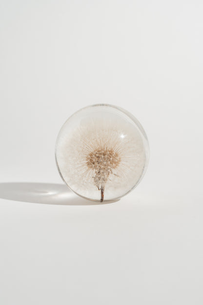 Dandelion Resin Orb