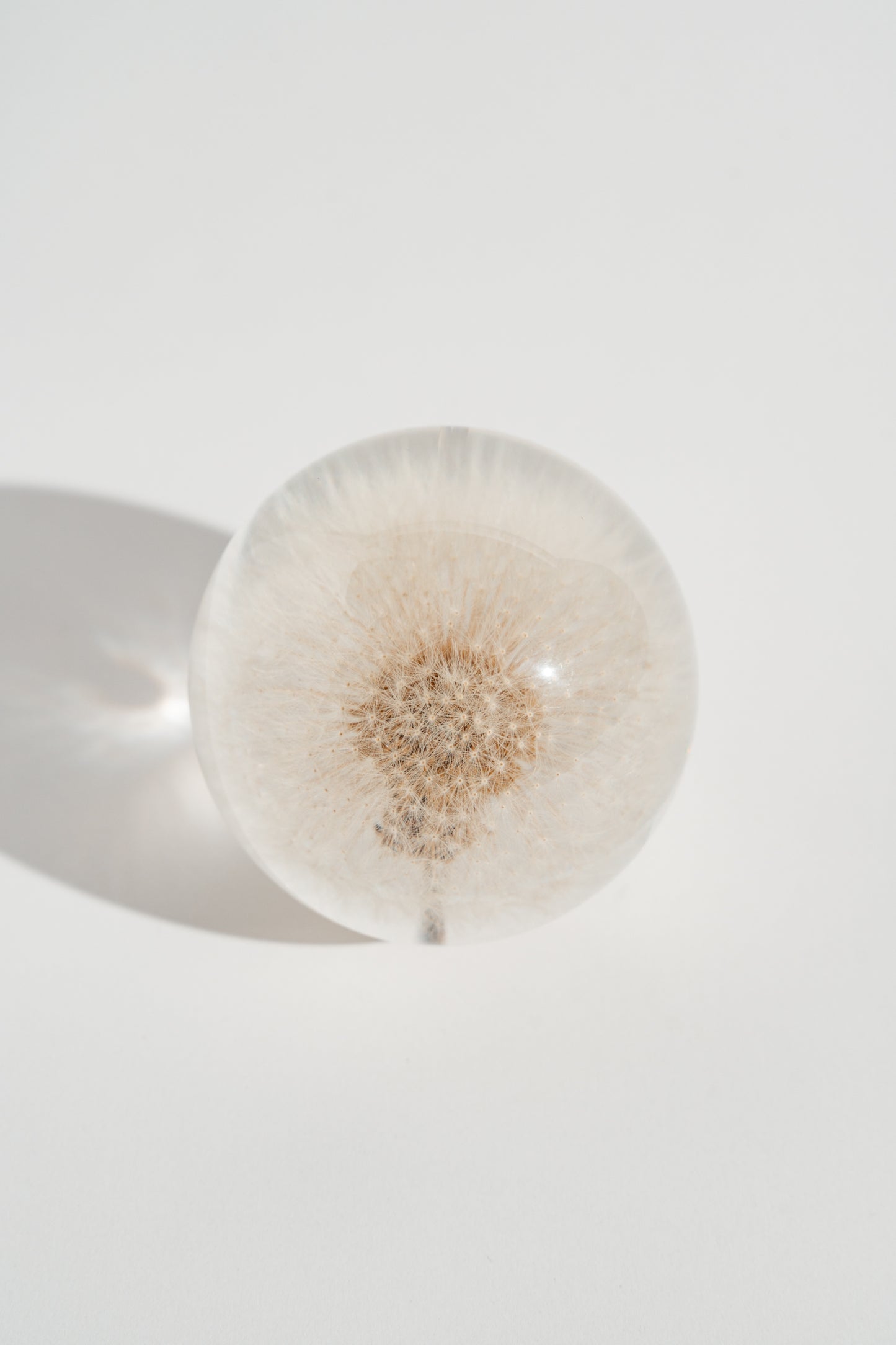 Dandelion Resin Orb