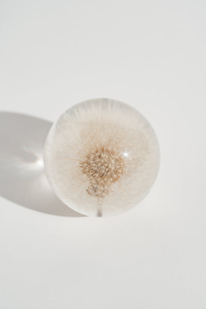 Dandelion Resin Orb