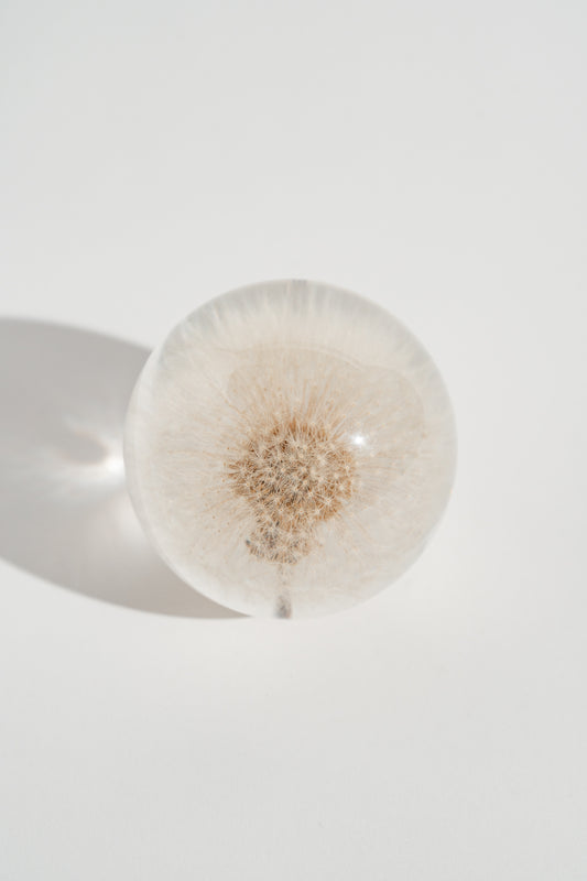 Dandelion Resin Orb