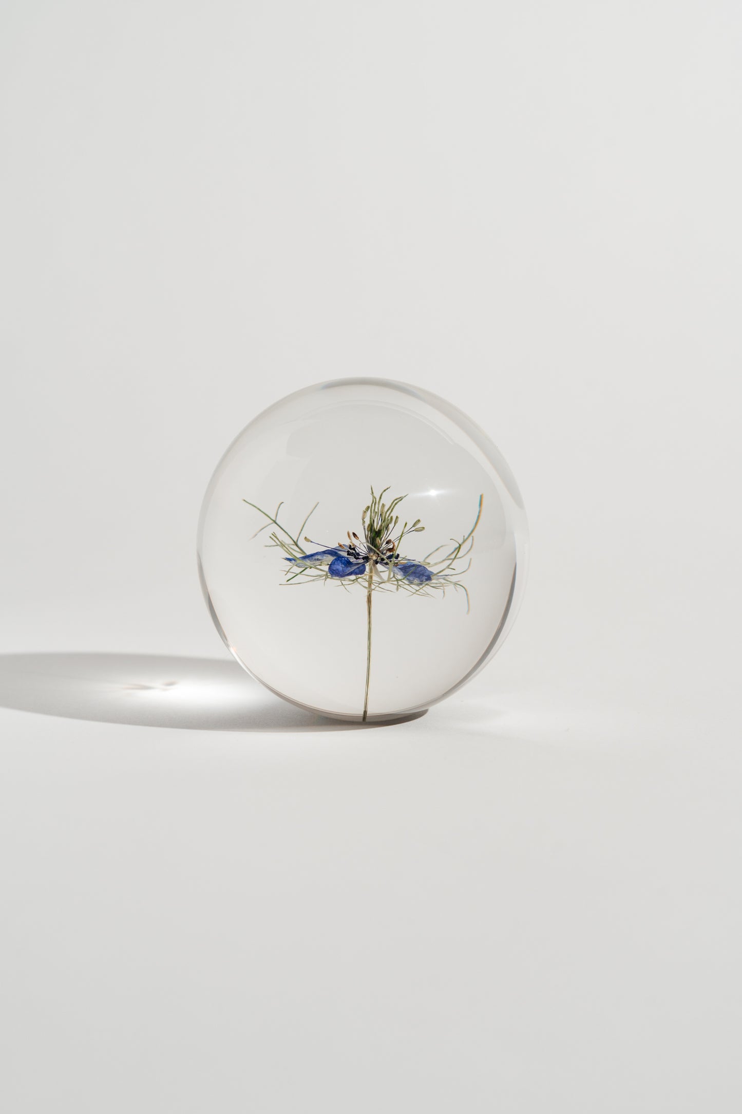 Blue Love in a Mist Resin Orb