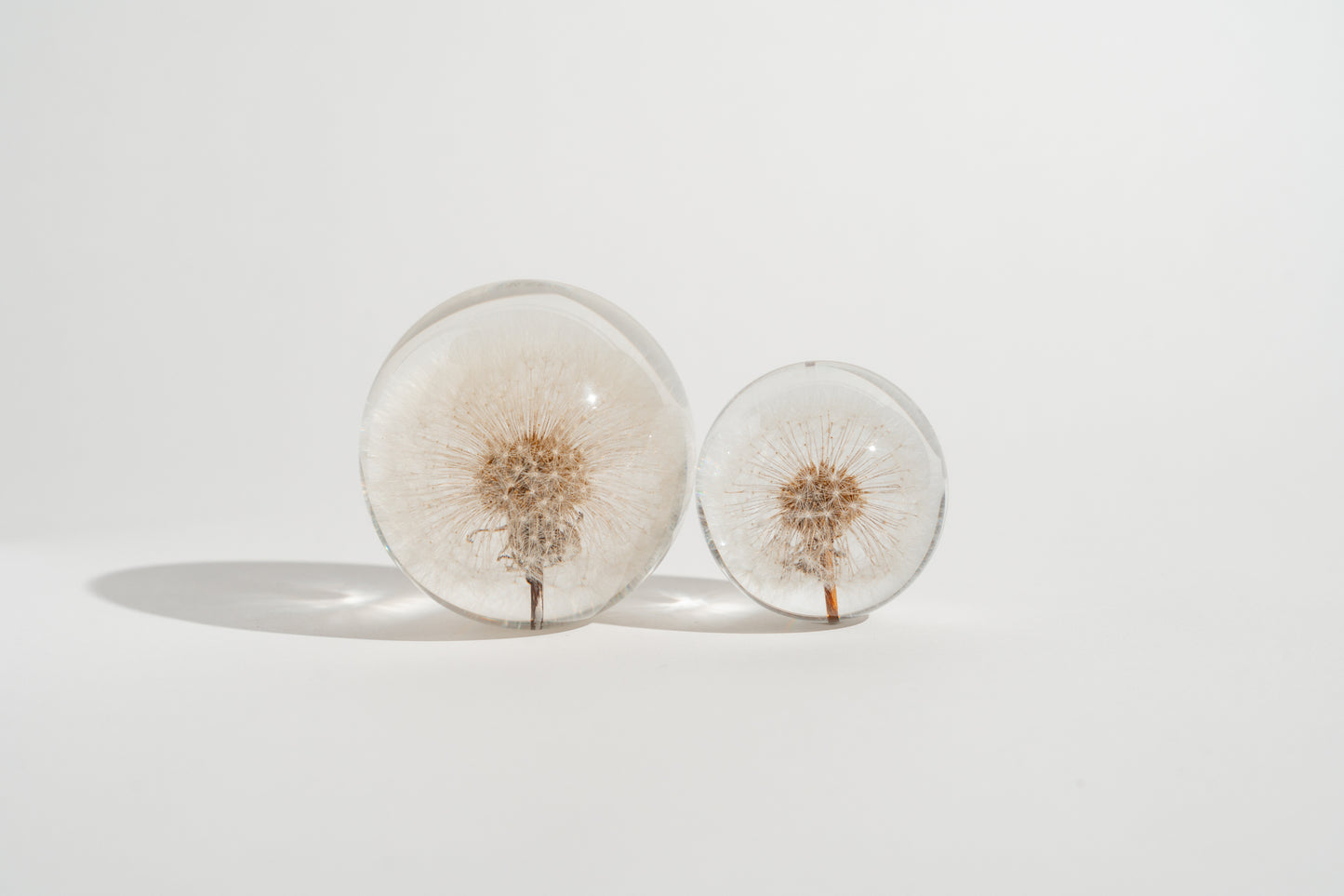 Dandelion Resin Orb