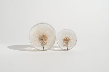 Dandelion Resin Orb