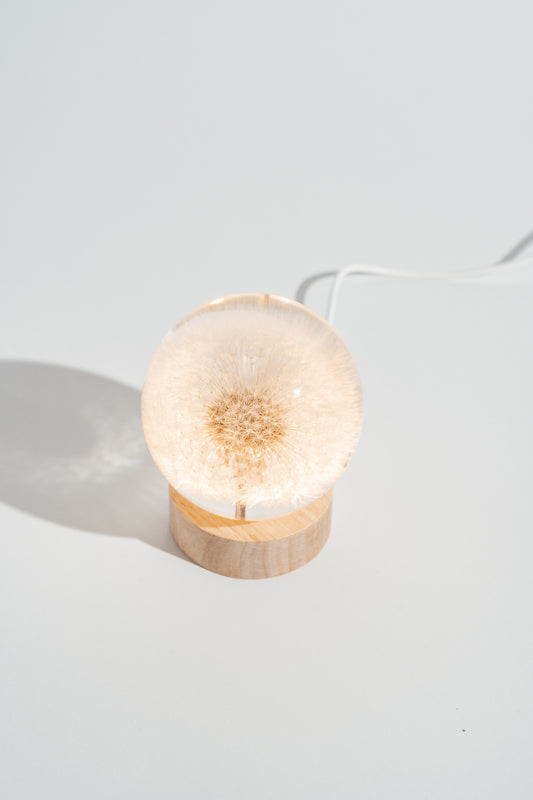 USB LED Wooden Luminous Base Lamp