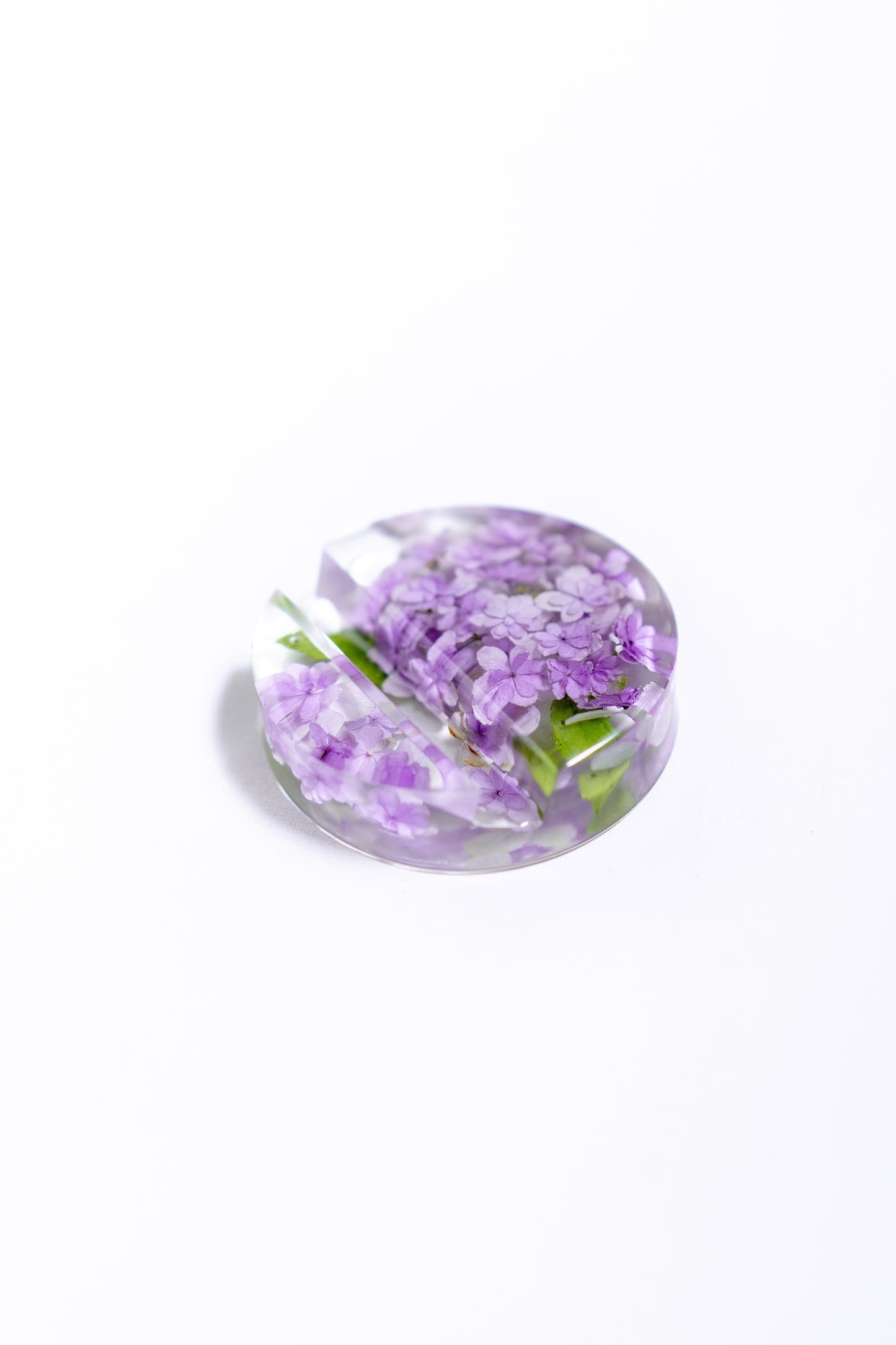 A Quiet Bloom Phone Holder